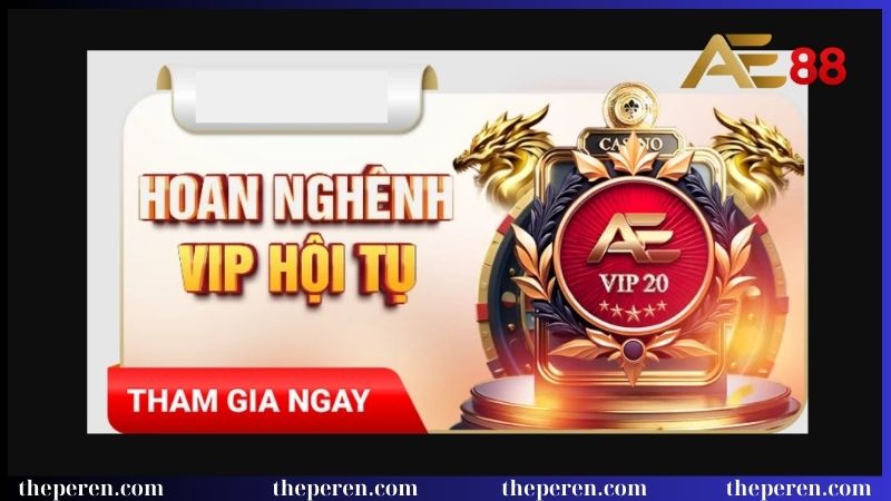 Cấp bậc VIP và các đặc quyền hot nhất
