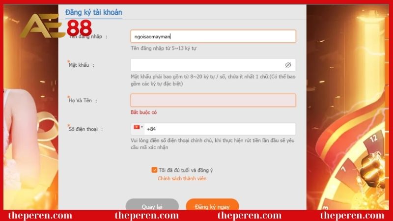 Hướng dẫn nhập thông tin vào form đăng ký AE88
